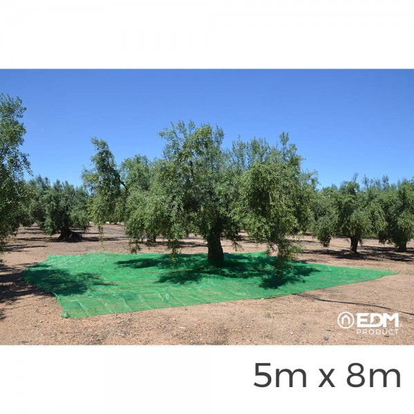 Manto para recolecta de frutos 5x8m color verde